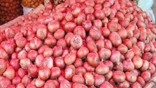 সরবরাহ কমে যাওয়ায় হিলিতে পেঁয়াজের দাম কেজিতে বেড়েছে ১৫ টাকা