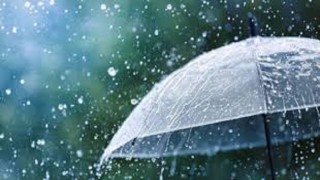 দীর্ঘ প্রতিক্ষিত বৃষ্টি বরিশালের জনজীবনে স্বস্তি দিলেও মাঠে থাকা ফসল অতিবর্ষণের ঝুকিতে