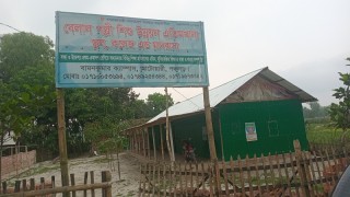 কাগজ-কলমে এতিম দেখিয়ে লাখ লাখ টাকা আত্মসাতের অভিযোগ