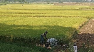 মাঝারি তাপমাত্রায় পুড়ছে চুয়াডাঙ্গা; একদিনে তাপমাত্রা বেড়েছে ৩ দশমিক ২ ডিগ্রী সেলসিয়াস