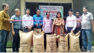 বিশ্বনাথে সরকারিভাবে বোরো  ধান-চাল সংগ্রহ শুরু