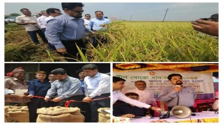 কিশোরগঞ্জে অভ্যন্তরীণ বোরো ধান সংগ্রহ কার্যক্রমের উদ্বোধন করলেন খাদ্য সচিব