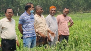 শেরপুরে হাতির আক্রমণে ক্ষতিগ্রস্থ কৃষকের আবাদী জমি পরিদর্শন করেন বিভাগীয় বন কর্মকর্তা