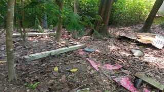প্রবাসীর জায়গা জোরপূর্বক দখলের অভিযোগ শিক্ষকের বিরুদ্ধে