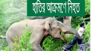 উখিয়ায় বন্যহাতির আক্রমনে আহত কৃষকের মৃত্যু