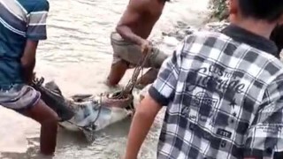 এক বাঘাইড়ে মুড়ি বিক্রেতার পকেটে ৩৫ হাজার টাকা