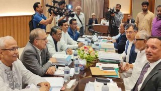 ব্যক্তিতান্ত্রিক স্বৈরতন্ত্র প্রতিষ্ঠিত হয়েছিল এ দেশে : আলী রীয়াজ
