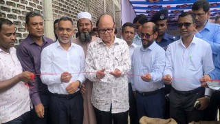 সরকার কতদিন থাকবে সেটা প্রধান উপদেষ্টা ভালো জানেন : খাদ্য উপদেষ্টা
