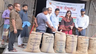 রাজনগর খাদ্য গুদামে ধান-চাল সংগ্রহের উদ্বোধন