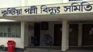 কুষ্টিয়া পল্লী বিদ্যুৎ: সমন্বয়ক পরিচয়ে পদত্যাগপত্রে জোরপূর্বক কর্মকর্তার সই