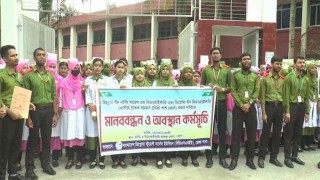 ভোলায় ডিপ্লোমা নার্স ও মিডওয়াইফারিদের স্নাতক ডিগ্রির সমমান দাবিতে অবস্থান কর্মসূচি পালন