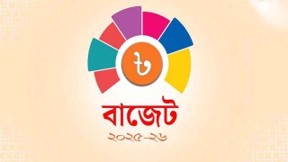 ২ জুন বাজেট পেশ করবে অন্তর্বর্তী সরকার