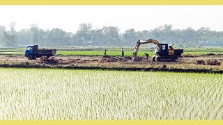 হাজীগঞ্জে কৃষি জমির টপসয়েল বিক্রির হিড়িক