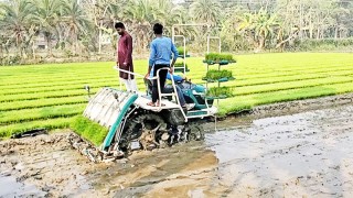 ৩ বিঘা জমির ধান রোপণ হবে ১ ঘণ্টায়