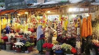 চলতি মৌসুমে শতকোটি টাকার ফুল বিক্রির আশা গদখালীর চাষিদের