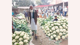 আদমদীঘিতে সবজির বাজারে ধস কৃষকের কপালে পরেছে দুশ্চিন্তার ভাঁজ