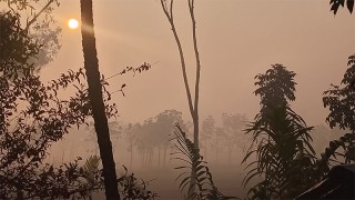 ৭ ডিগ্রীতে পঞ্চগড়ের তাপমাত্রা,বইছে মাঝারি শৈত্যপ্রবাহ