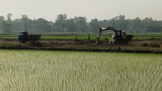 হাজীগঞ্জে ভেকু দিয়ে কৃষি জমির মাটি কাটার হিড়িক