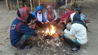 চুয়াডাঙ্গায় সর্বনিম্ন তাপমাত্রা ১০ ডিগ্রী সেলসিয়াস, হিমেল হাওয়ায় আর কন কনে শীতে অস্থির জনজীবন