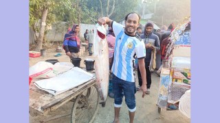 মানিকগঞ্জে পদ্মায় বড়শিতে ধরা পরল ৯ কেজি ওজনের বোয়াল