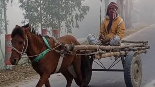 তীব্র শীতে কাহিল কুড়িগ্রাম অঞ্চলের মানুষ