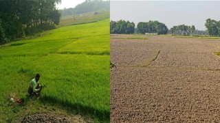 কৃষকের প্রয়োজন পানি: মেঘনা-ধনাগোদা সেচ প্রকল্পে সেচ সুবিধা না পেয়ে বিপর্যয়ের আশঙ্কা