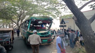 সিরাজদিখানে বাস চালক মোবাইলে কথা বলতে বলতে গাছের সঙ্গে সংঘর্ষ, আহত  ৬