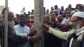 সুন্দরগঞ্জে স্বেচ্ছাশ্রমে কাঠের সাঁকো নির্মাণ কাজের উদ্বোধন