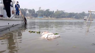 চাঁদপুর ডাকাতিয়া নদী থেকে বৃদ্ধের অর্ধগলিত মরদেহ উদ্ধার