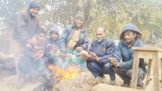 যশোর পৌষের দাপটে কাঁপছে