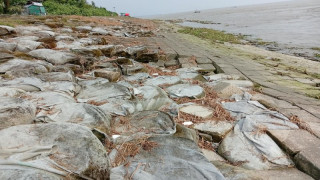মেঘনার গ্রাসে ব্লক বাঁধ, ১১ স্থানে ধস:  হুমকিতে নৌ-পুলিশ ফাঁড়ি ও রামগতি বাজার