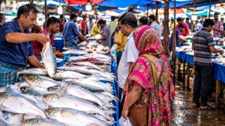 ভারতীয় ইলিশে সয়লাব যশোরাঞ্চল, ক্রেতারা পড়ছেন প্রতারণায়
