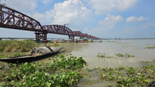 ঈশ্বরদীতে পদ্মায় পানি কমছে, তবে চরাঞ্চলের ফসলি মাঠ এখনও পানির নিচে