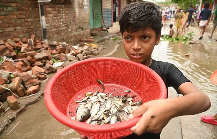 একদিনের টানা বৃষ্টিতে ডুবে আছে রাজধানী। জনদুর্ভোগ চরমে। পানির জোয়ার এলাকার মানুষ জাল ফেলে মাছ ধরছে। ছবি আজ মঙ্গলবার সকালে গেন্ডারিয়ার এলাকা থেকে তোলা - এস এ মাসুম